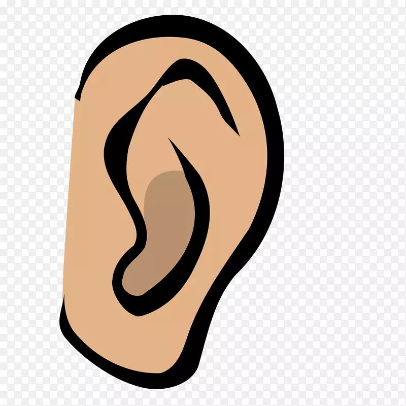 听力剪辑艺术-耳朵