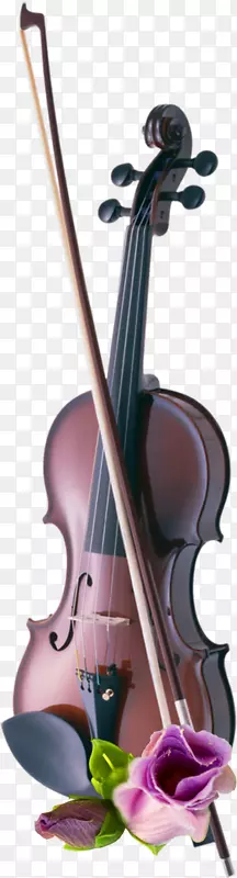 大提琴小提琴乐器弦乐器小提琴