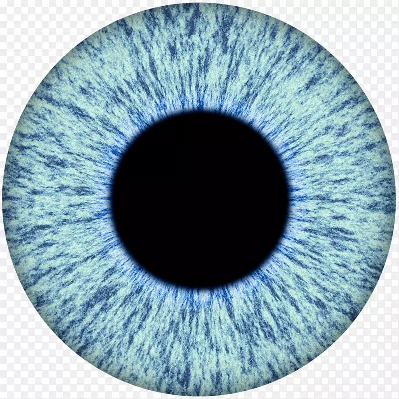 人眼虹膜瞳孔