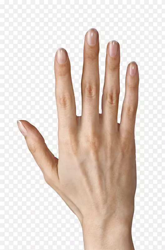 手指电脑图标剪贴画手指
