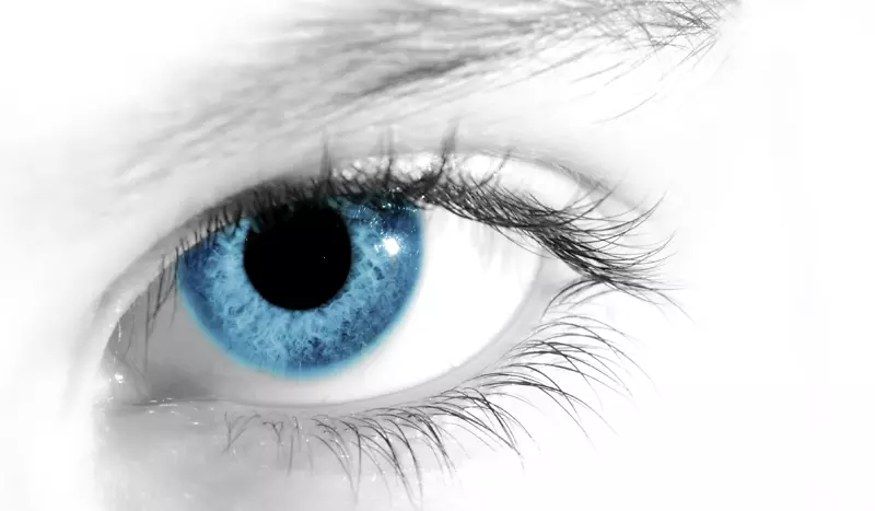 人眼桌面壁纸眼睛跟踪视觉感知.眼睛