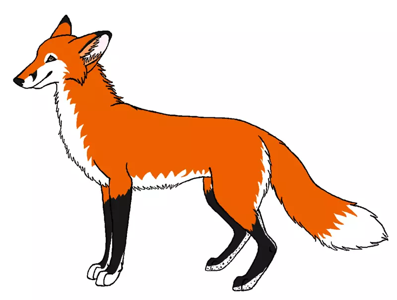 红狐剪贴画-红狐图片免费