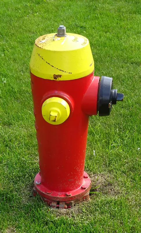 布里斯班伯灵顿消防栓公共领域-消防栓