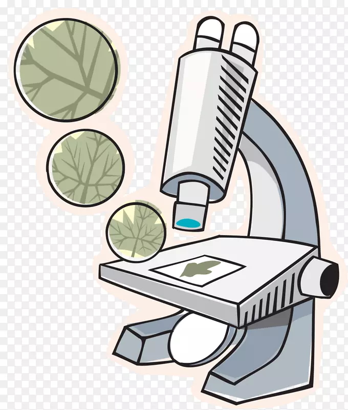 生物桌面壁纸夹艺术显微镜