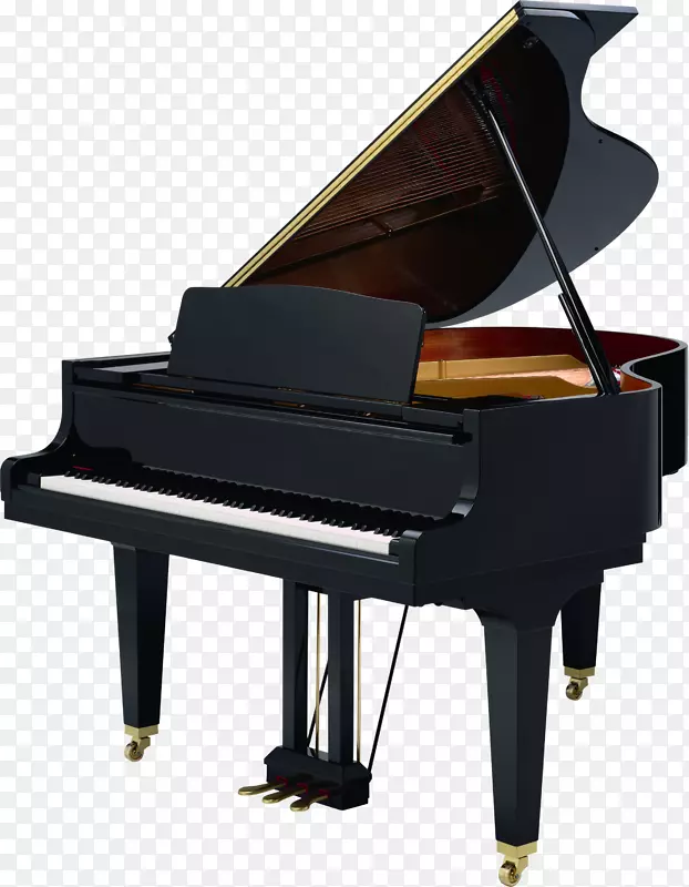 大钢琴数码钢琴罗兰公司乐器-钢琴
