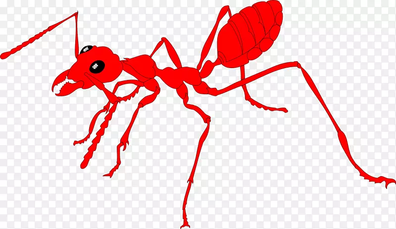 蚂蚁网国际货运集团有限公司互联网剪贴画-蚂蚁
