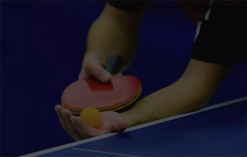 乒乓球及成套网球运动-乒乓球