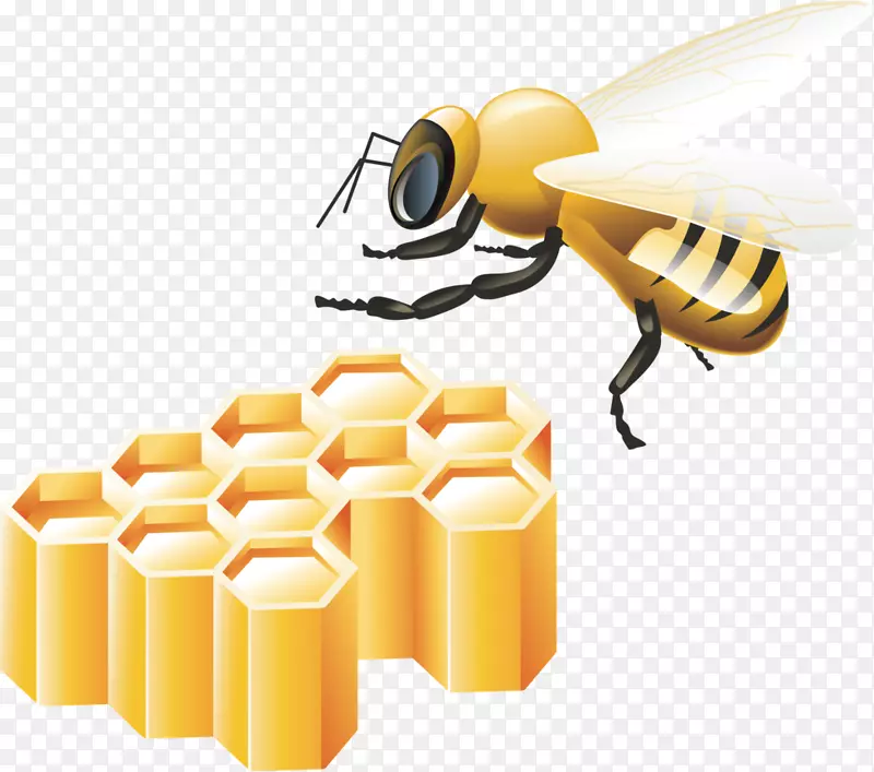 蜜蜂封装后记剪贴画-蜜蜂