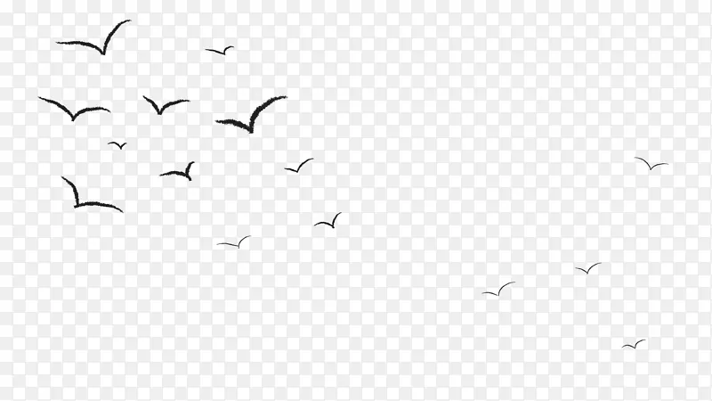鸟鹤黑白动物迁徙黑白摄影-苍蝇