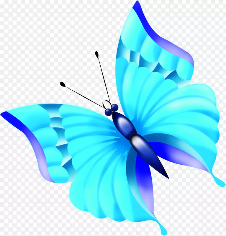 蝴蝶纸昆虫夹艺术-蝴蝶
