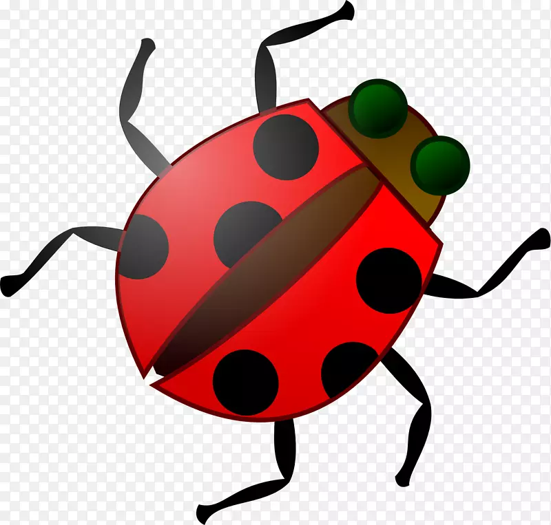 甲虫软件缺陷剪辑艺术.瓢虫