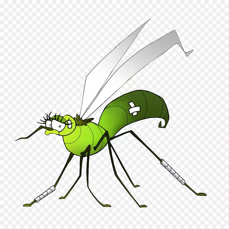 蚊虫登革热西尼罗河病毒-蚊子