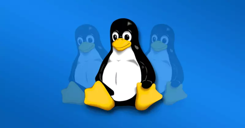 用于linux的操作系统gnu/linux计算机软件windows子系统