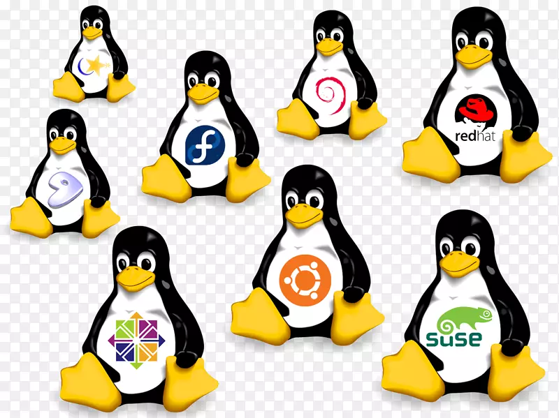 suse linux发行版操作系统ubuntu-linux