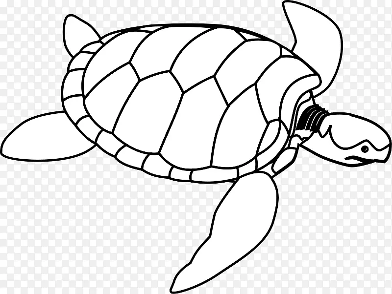 绿海龟剪贴画-海龟图片