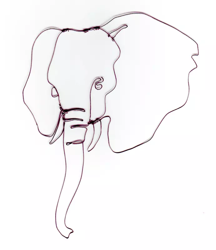 印度象非洲象画剪贴画象脸轮廓