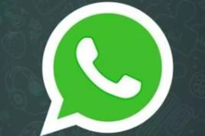 社交媒体社交网络WhatsApp即时通讯微信-WhatsApp