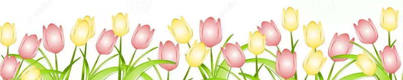 英迪拉甘地纪念郁金香花园插花艺术-春天PNG透明图像