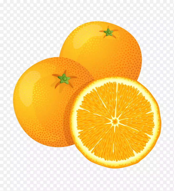 水果橙夹艺术-鸵鸟