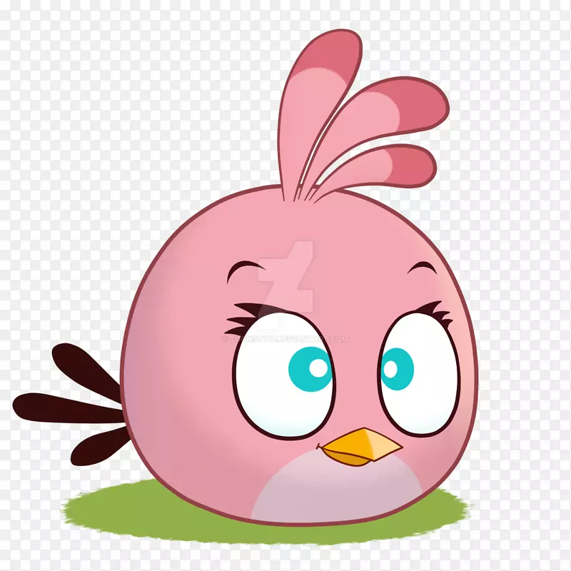 愤怒的小鸟斯特拉，愤怒的小鸟，里约的愤怒的小鸟空间-愤怒的小鸟