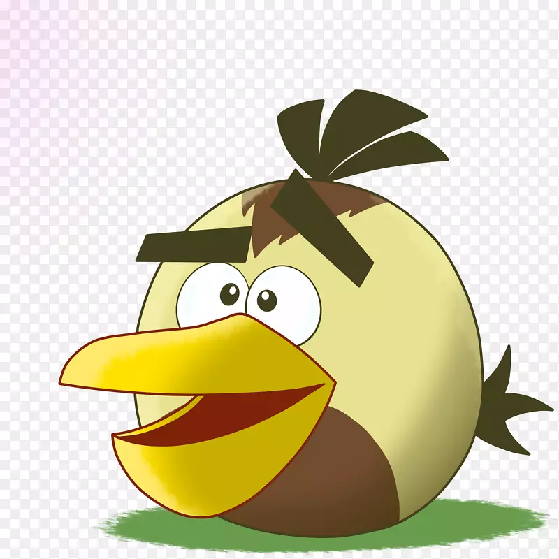 愤怒的小鸟，朋友，愤怒的小鸟，里约棕榈鹈鹕-愤怒的小鸟