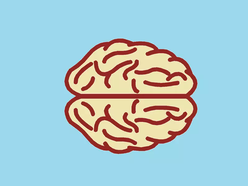 健康YouTube大脑情感-大脑