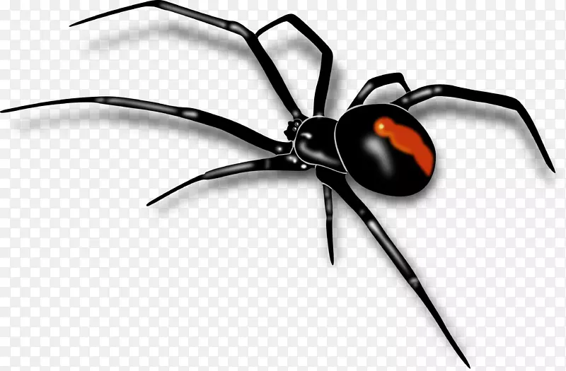 神奇的蜘蛛剪贴画-黑寡妇
