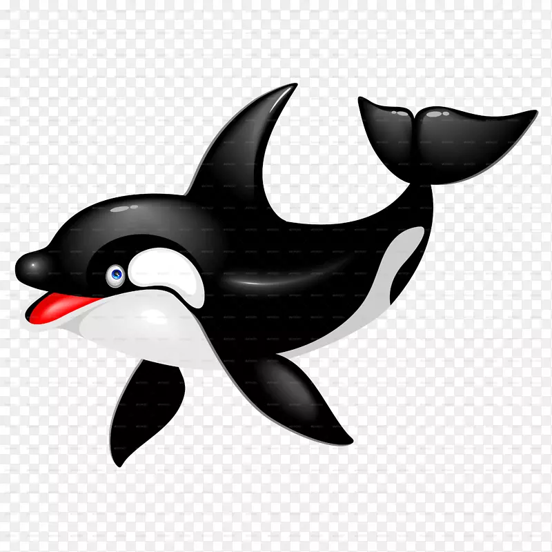 虎鲸海豚画鲸