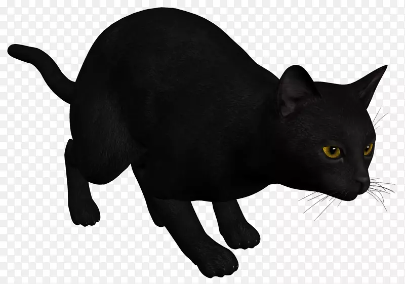 猫画夹艺术-黑色