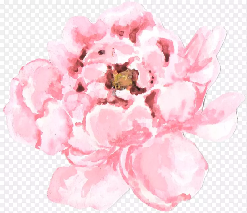马来西亚花卉水彩画工艺-牡丹