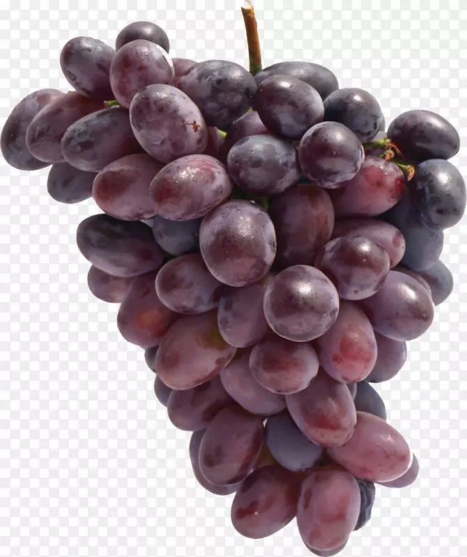 普通葡萄藤食品-葡萄