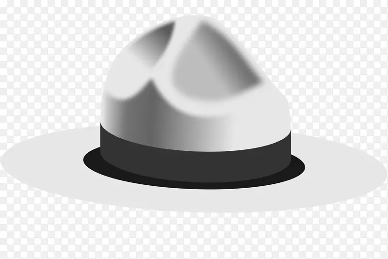 白帽，竞选帽，黑帽