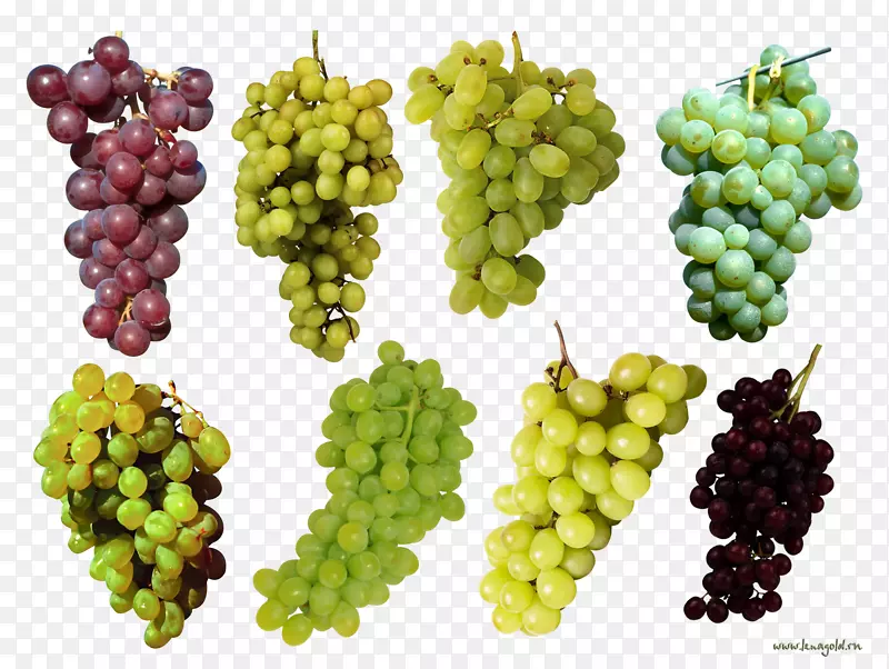 水果葡萄三维空间-葡萄