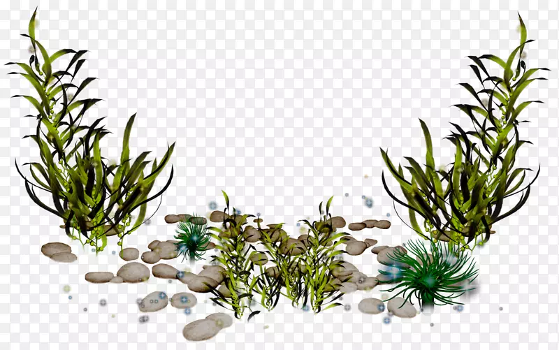 海藻剪贴画-珊瑚