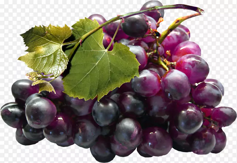 巨峰果汁葡萄籽提取物-葡萄