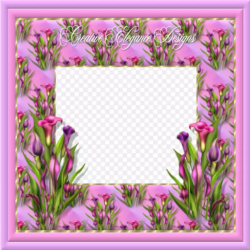 画框花卉博客花卉设计.相框