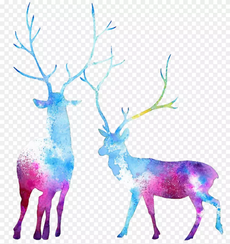 驯鹿麋鹿水彩画.水彩动物