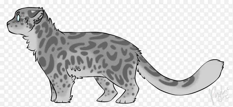 雪豹猫科美洲豹