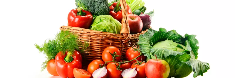 有机食品农业斯蒂芬弗格森博士生态健康食品