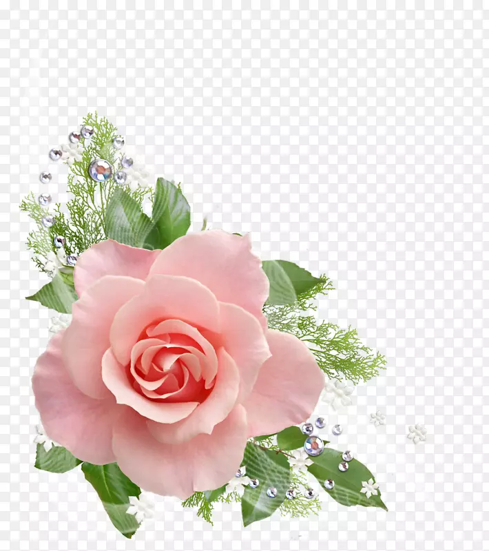 玫瑰花粉红剪贴画-水彩画