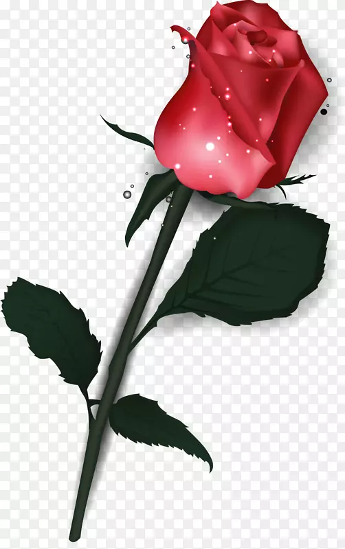 玫瑰情人节心脏海报-阳伞