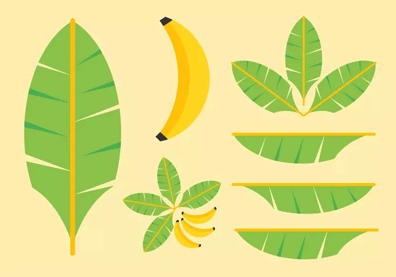 香蕉叶剪贴画-香蕉叶