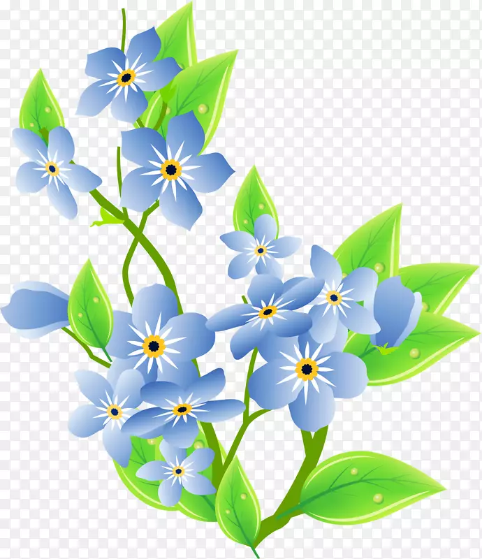 花卉肉豆蔻摄影郁金香剪贴画-蓝色花