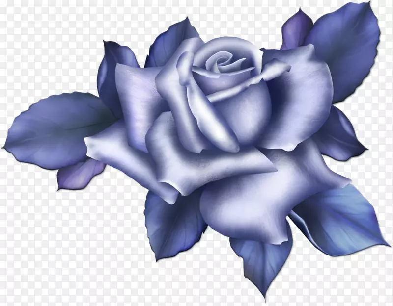 海滩玫瑰蓝玫瑰花颜色-蓝色花