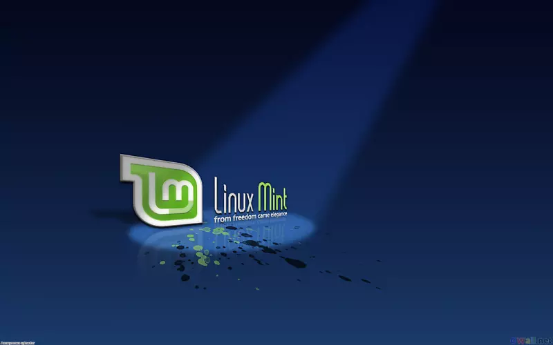 Linuxmint桌面壁纸显示分辨率桌面环境-mint