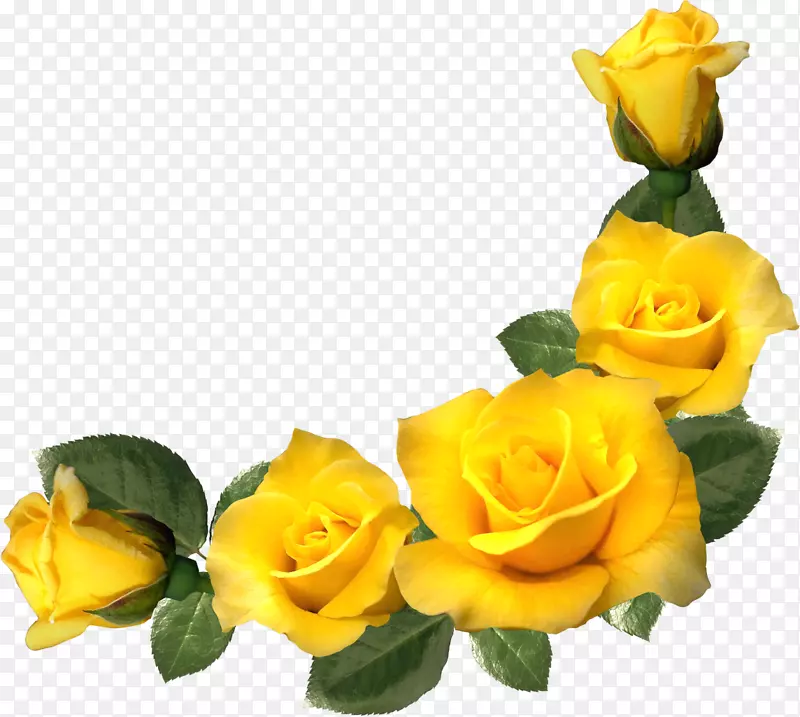 画框黄玫瑰插花艺术.黄玫瑰