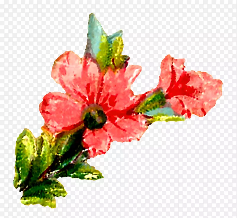 切花花卉设计水彩画剪贴画水彩画花