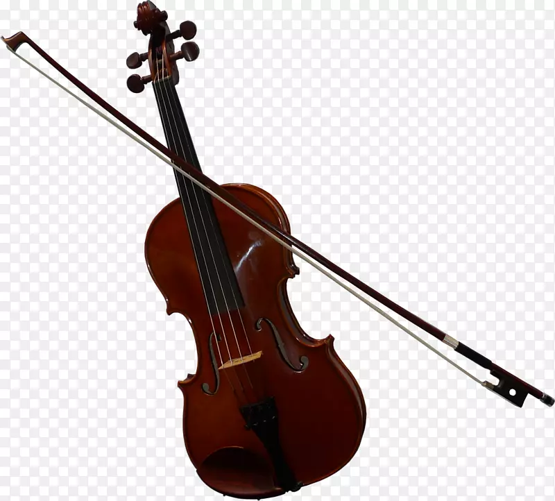 弓形小提琴大提琴中提琴低音