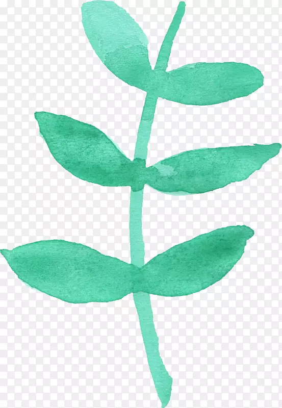 叶水彩画植物茎-水彩叶