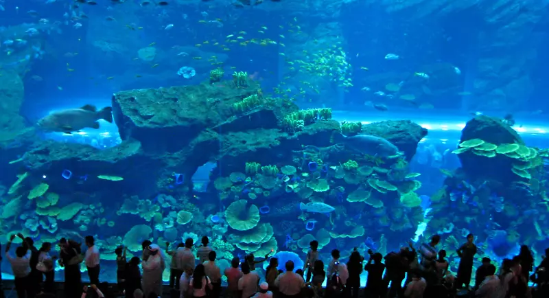 迪拜广场哈利法迪拜海湾广场阿联酋迪拜水族馆&水下动物园-水族馆